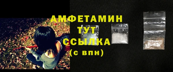прущий лед Горно-Алтайск