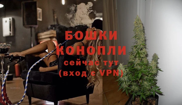 spice Горнозаводск